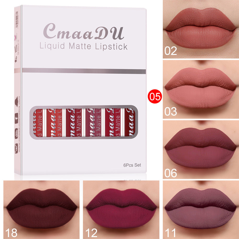 "Matte Long-Lasting Lipstick"