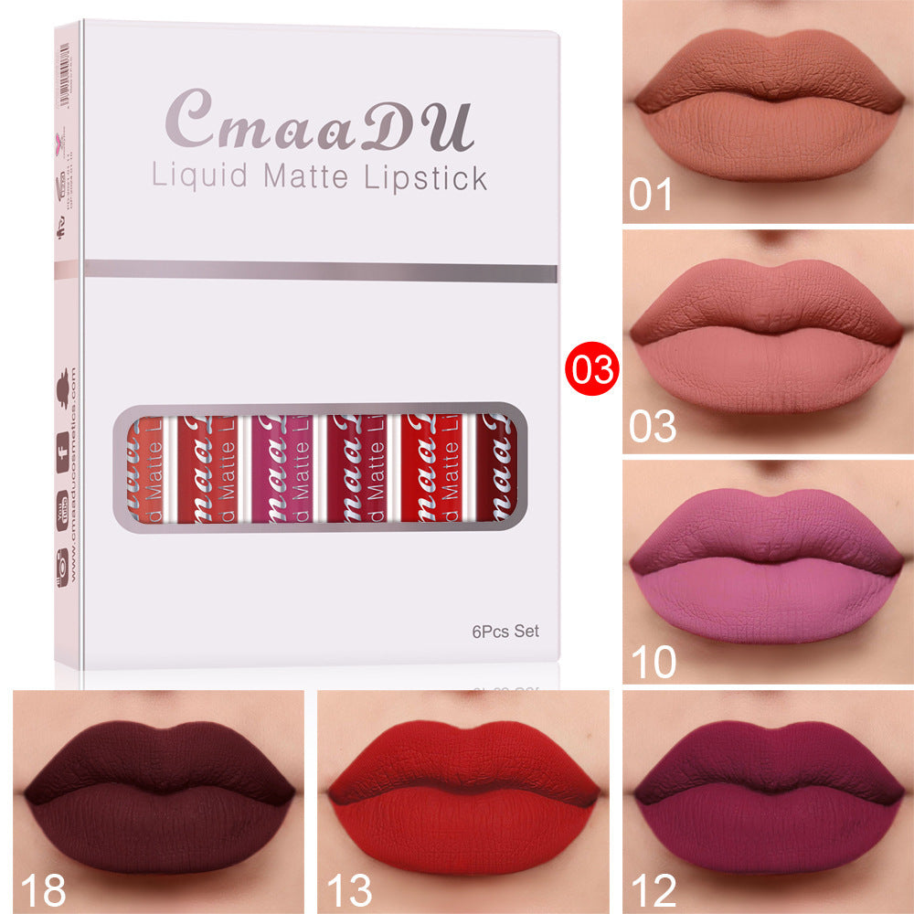 "Matte Long-Lasting Lipstick"