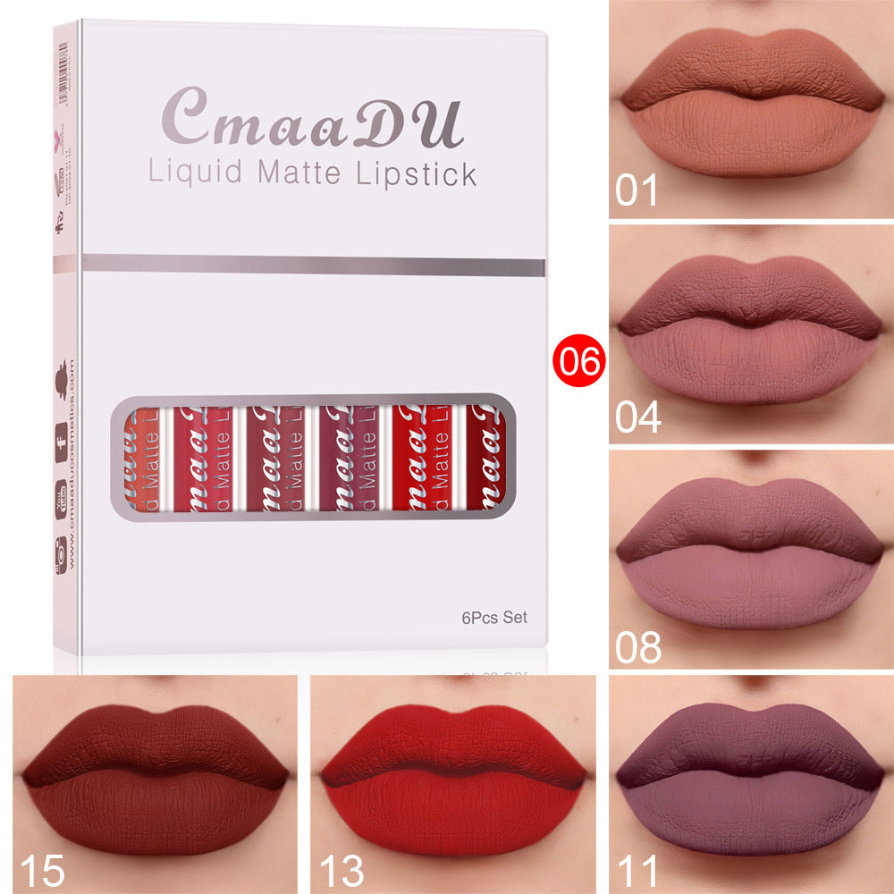 "Matte Long-Lasting Lipstick"