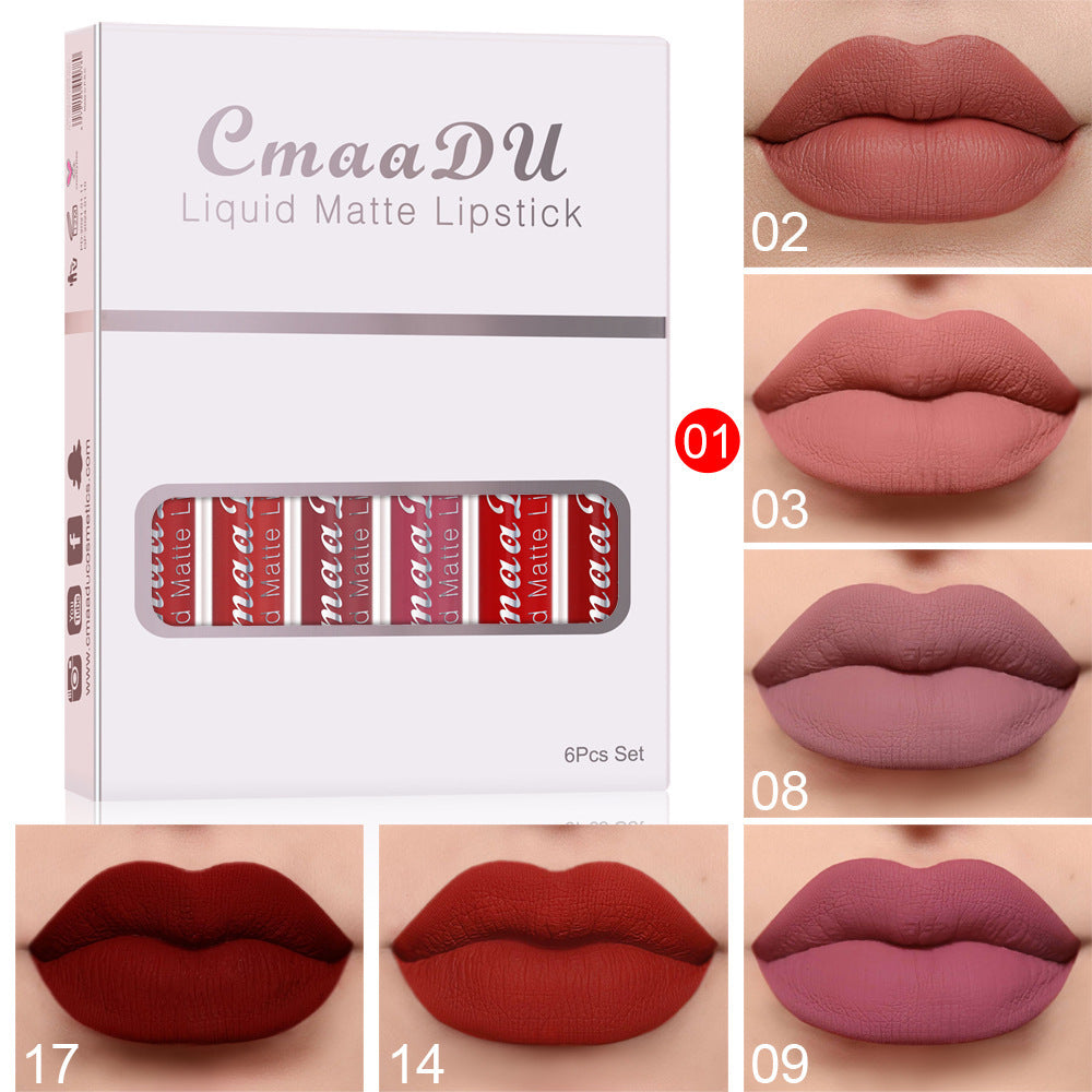 "Matte Long-Lasting Lipstick"